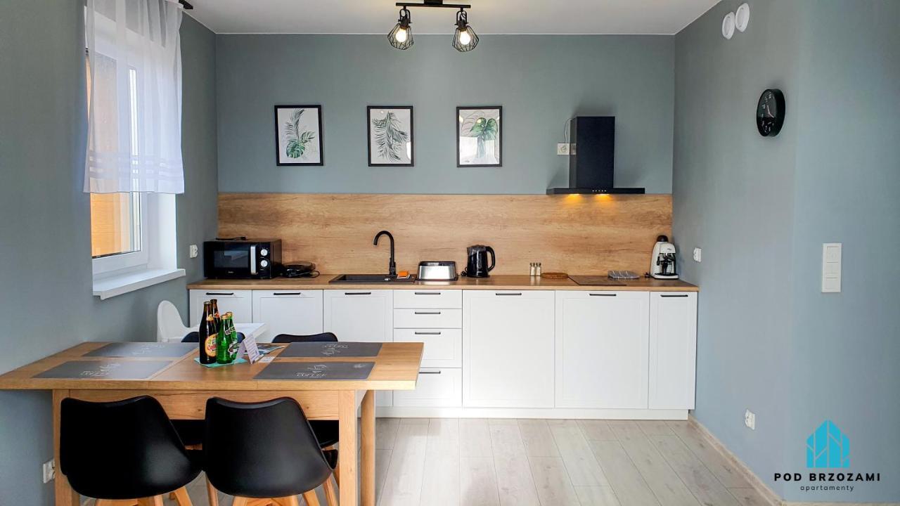 Pod Brzozami Gorna Apartment *