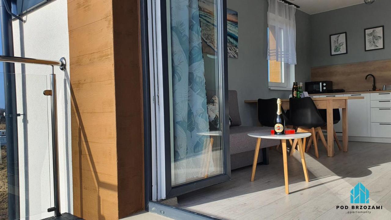 Pod Brzozami Gorna Apartment *